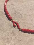 Collier Corail